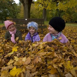 Children playing in the leaves at a park. Copyright: christchurchnz.com